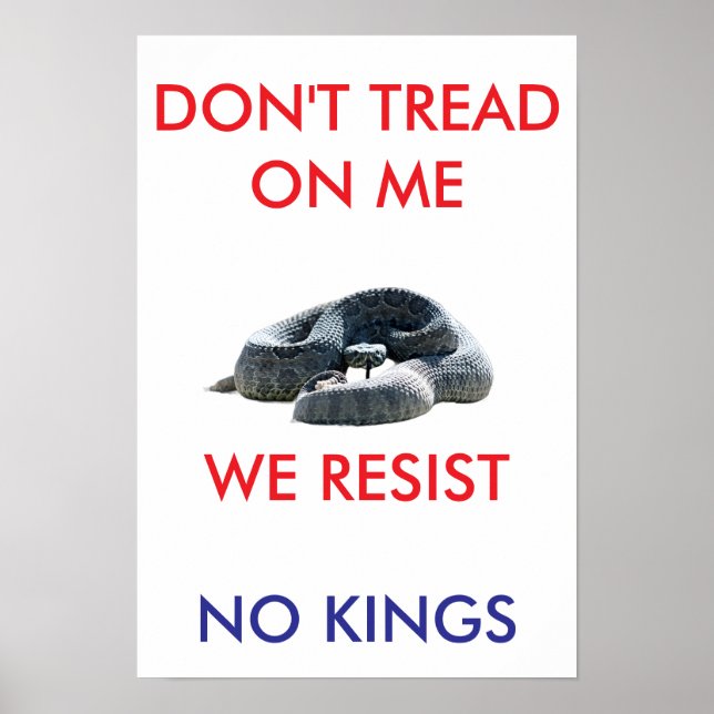 13 X 19 archival hearvy matte paper rally poster (Framsidan)