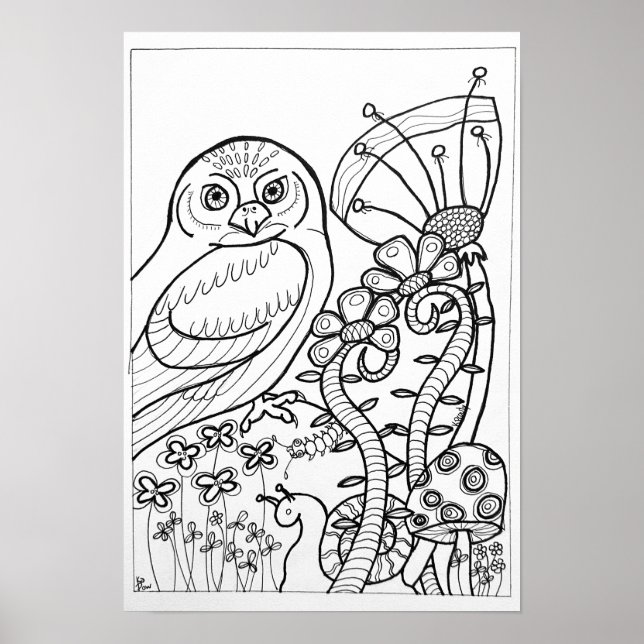 13 x 19 färgämnen poster med uggla (Framsidan)