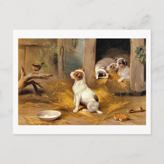 13a Dopporna Vykort (Framsida)