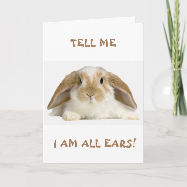 **13th** BIRTHDAY HUMOR FRÅN *FUNNY BUNNY"-kort Kort (Framsida)