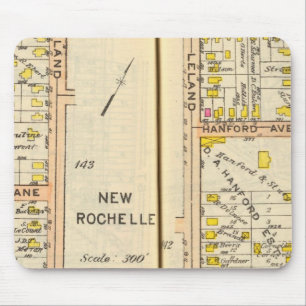 142143 New Rochelle Musmatta