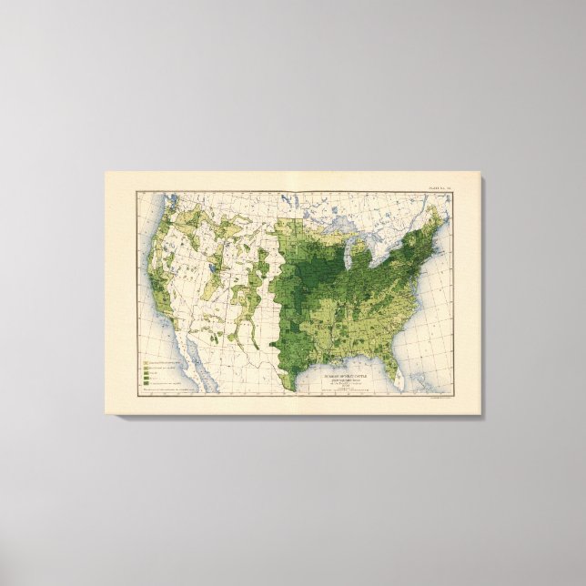 147 Nötkreatur/kvadratmil Canvastryck (Framsida)