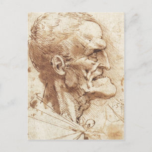 1487 1490 ) är ett teckning av Leonardo da Vinci S Vykort