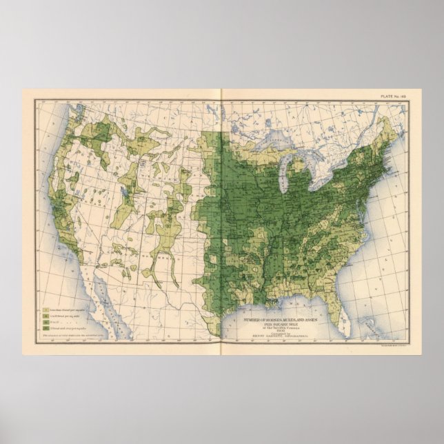 149 Hästar, mulor, åsnor/kvadratmil Poster (Framsidan)