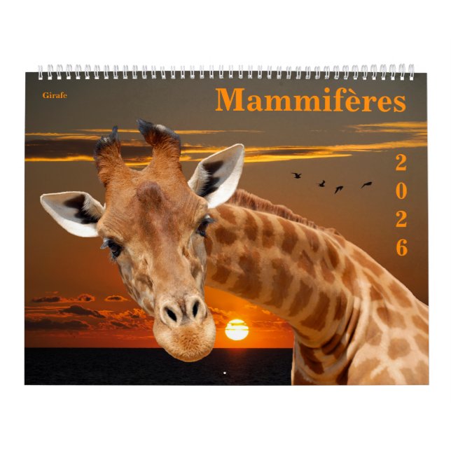 14 photos of mammals kalender (Omslag)