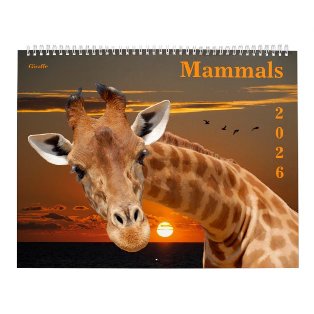 14 photos of mammals kalender (Omslag)