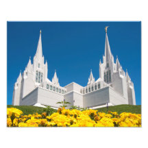 14-tums x 11-tums Photo LDS San Diego Temple
