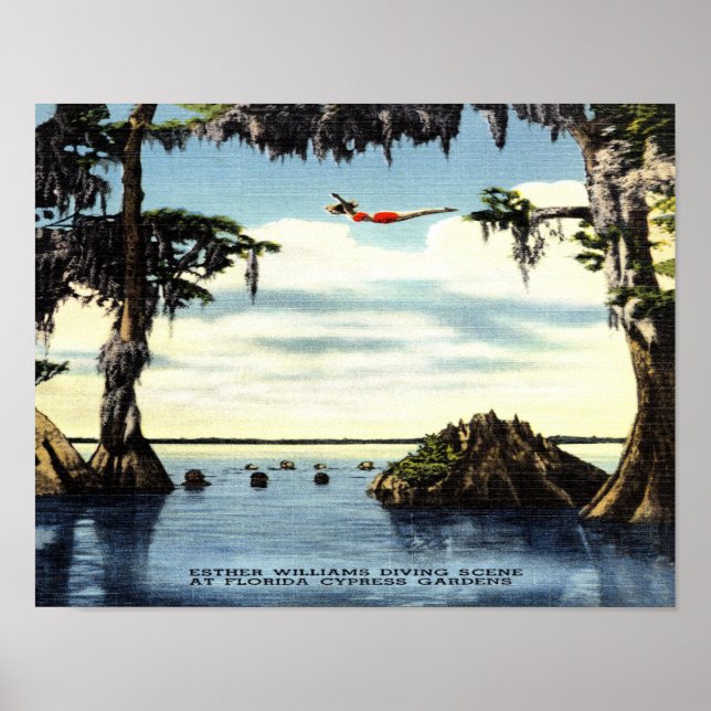 14 x 11 dykscen, Cypress Florida Poster (Framsidan)