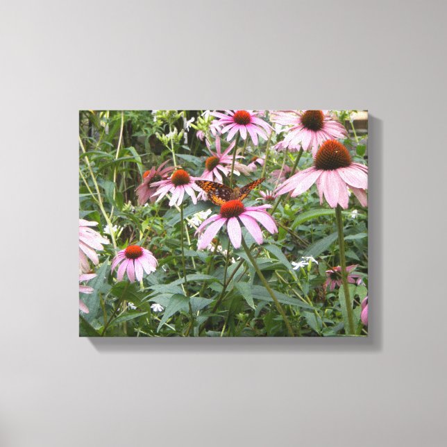 14" x 11", Inplastad Canvas Foto med Rosa Tusenskö (Framsida)