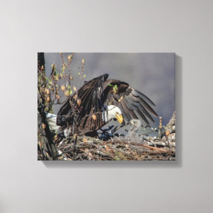 14 x 11 Örn med hennes baby Canvastryck