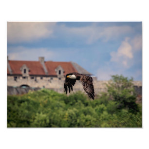 14 x 11 Örn som passerar Fort Ticonderoga Fototryck