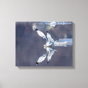 14x11 Gull-reflektioner Canvastryck