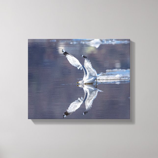 14x11 Gull-reflektioner Canvastryck (Framsida)