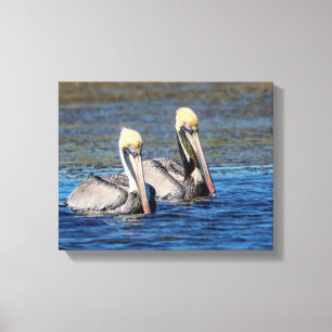 14x11 Pair of Pelicans Canvastryck