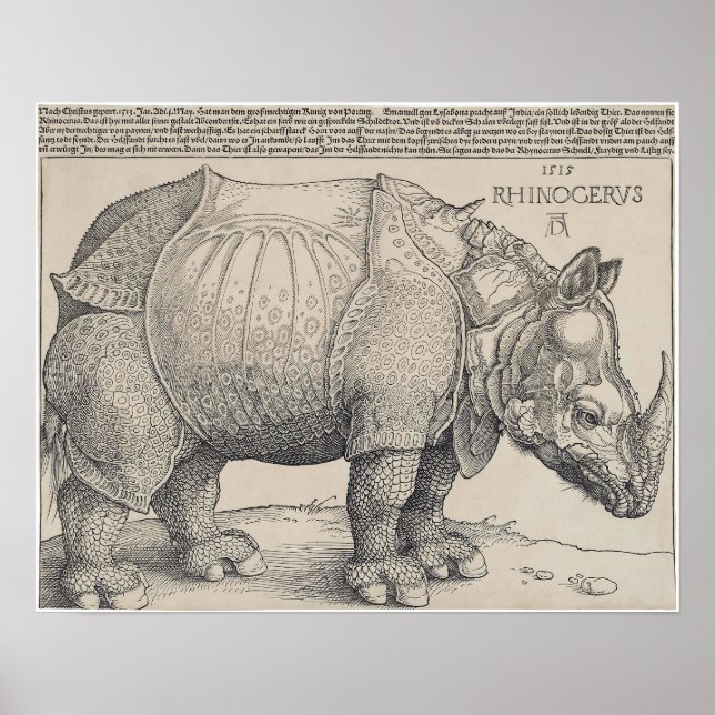 1515 DURER's RHINOCERUS Poster (Framsidan)