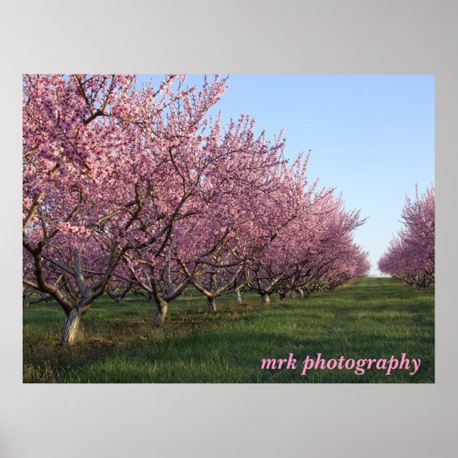 158, varumärkesfotografi poster (Framsidan)