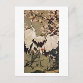 15. 梅 花 群 鶴 図, 若 Blommar och Cranes, Jakuchū Vykort