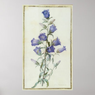 15:Bomull: Medium 1787 Poster