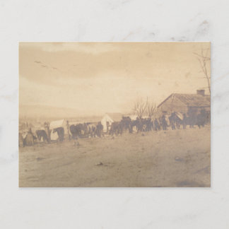 15:e PA-kavallry 1865 Vykort