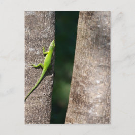 15 minuter.JPG Vykort