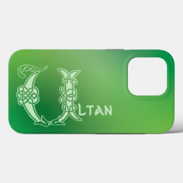 1600-talets keltiska Knot Decorative Capital U