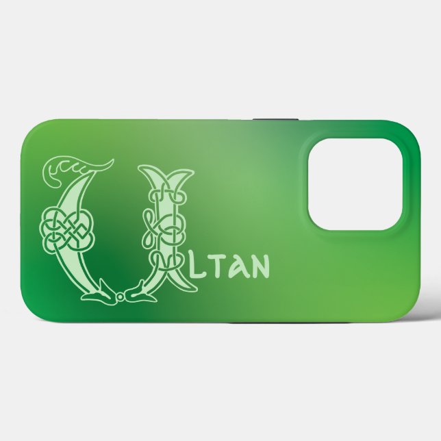 1600-talets keltiska Knot Decorative Capital U (Baksida (horisontell))