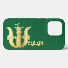 1600-talets keltiska Knot Decorative Capital W