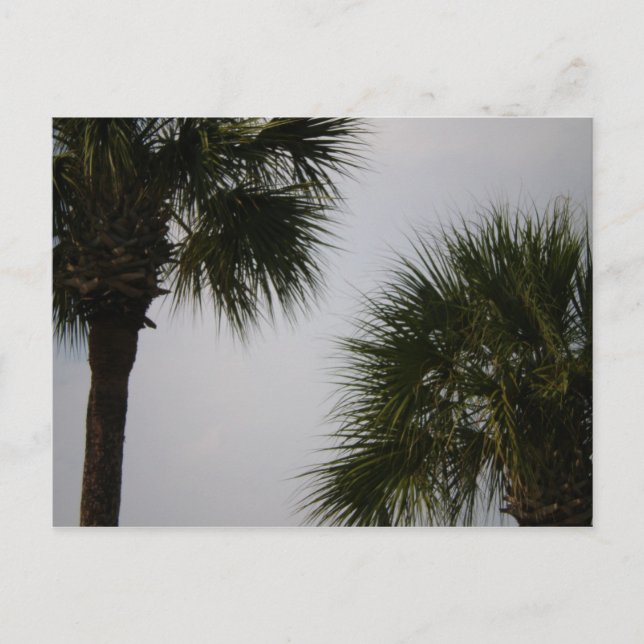 160 lpn vykort (Framsida)