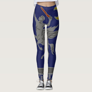 160. SOAR den särskiljande enhetsdamasker Leggings
