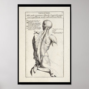 1691 Artistic Anatomy Back Muscles Art Print Poster