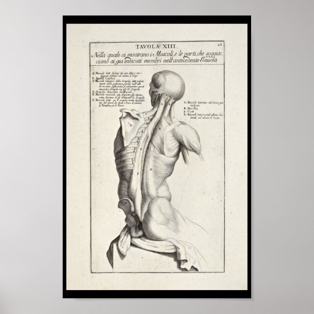 1691 Artistic Anatomy Back Muscles Art Print Poster (Framsidan)