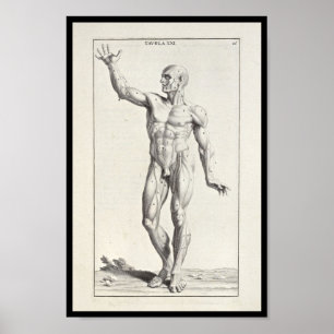 1691 Artistic Anatomy Muscles Art Print Poster