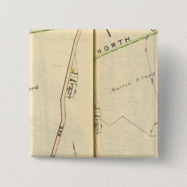 16-17 Vita slangar Knapp (Framsida)