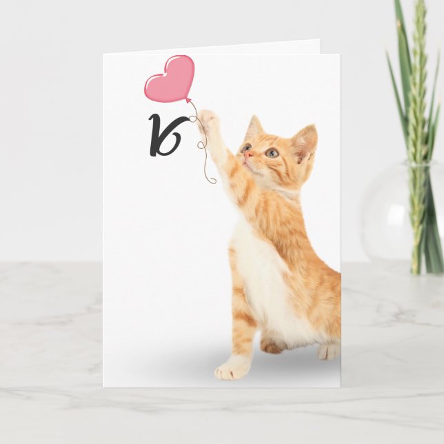 16-års födelsedag tabby katt kort (Framsida)