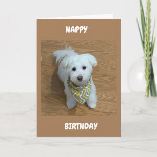 ***16:e BIRTHDAY****EN NY FÖRARE SNART! Kort