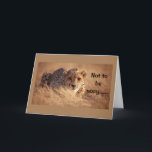 **16:e BIRTHDAY** HUMOR FRÅN ETT FÅNIG KAT Kort<br><div class="desc">VILKET BIRTIDKORT,  SÅ TÄNKA!!!!!!!!! Och kom ihåg att du kan ändra AGE och VERSE om du vill. TACK för att jag stannar vid 1 av mina 8 butiker!!</div>