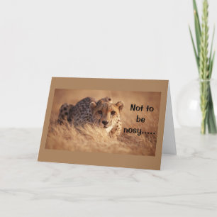 **16:e BIRTHDAY** HUMOR FRÅN ETT FÅNIG KAT Kort