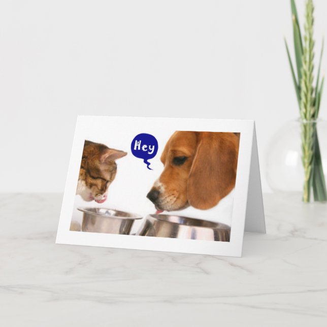 16:e BIRTHDAY-NEW DRIVER HUMOR Kort (Framsida)