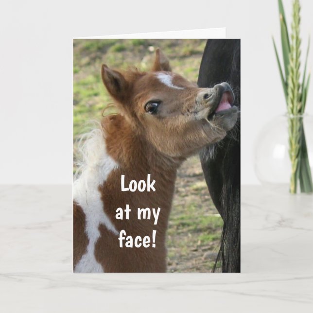 **16:e BIRTHDAY** ÖVERKLAGAT PONY Card Kort (Framsida)