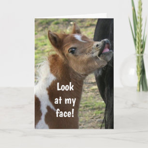 **16:e BIRTHDAY** ÖVERKLAGAT PONY Card Kort