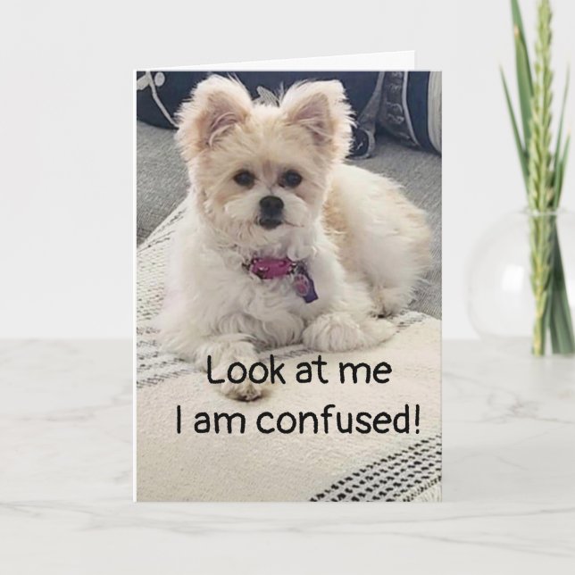 **16:e BIRTHDAY** SÅ MYCKET FÖRVIRKT! Kort (Framsida)