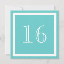 16:e Födelsedagsfest inbjudan - Aqua