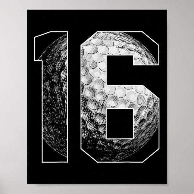 16:e födelsedagspojken Golf Player Golf 16 år gamm Poster (Framsidan)