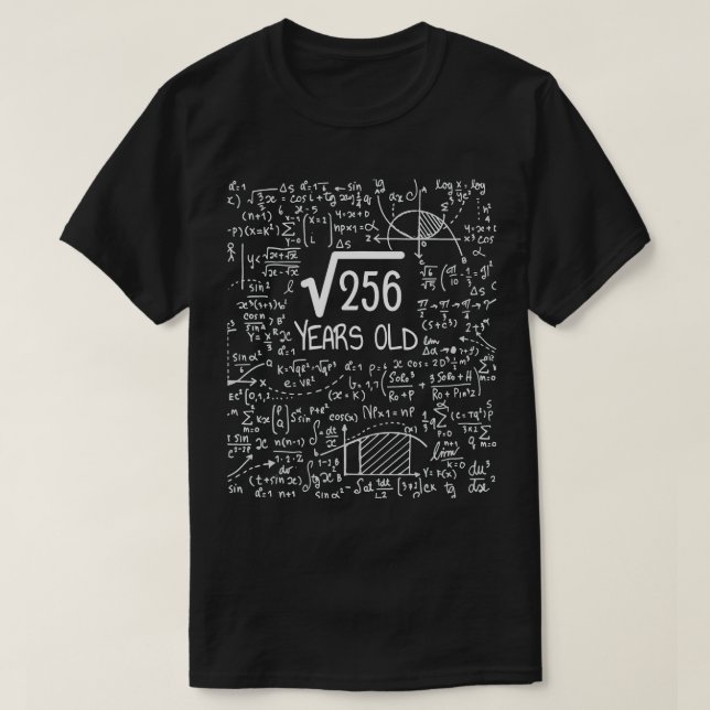 16:e födelsedagstorget roten 256 16 år gammal t shirt (Design framsida)