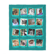 16 Fotoskrapbok Teal Blue Modern Bilder