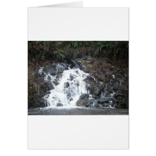 16 januari 170 hälsningskort (Framsidan)