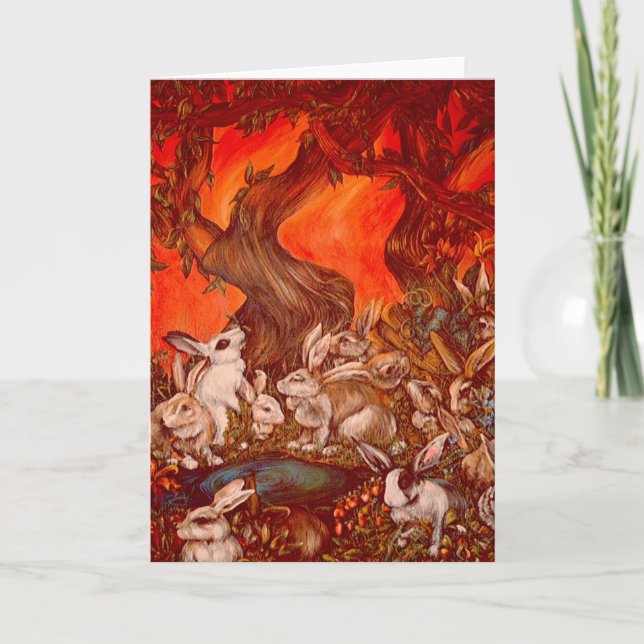 16 kaniner kort (Framsida)