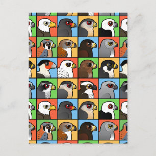 16 Nordamerikanska Raptor Profiles (tiled) Vykort