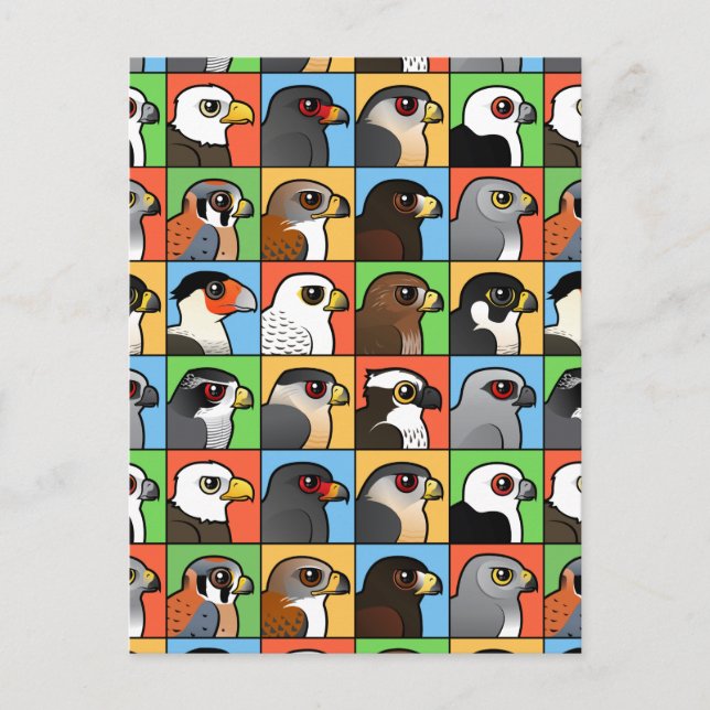 16 Nordamerikanska Raptor Profiles (tiled) Vykort (Framsida)