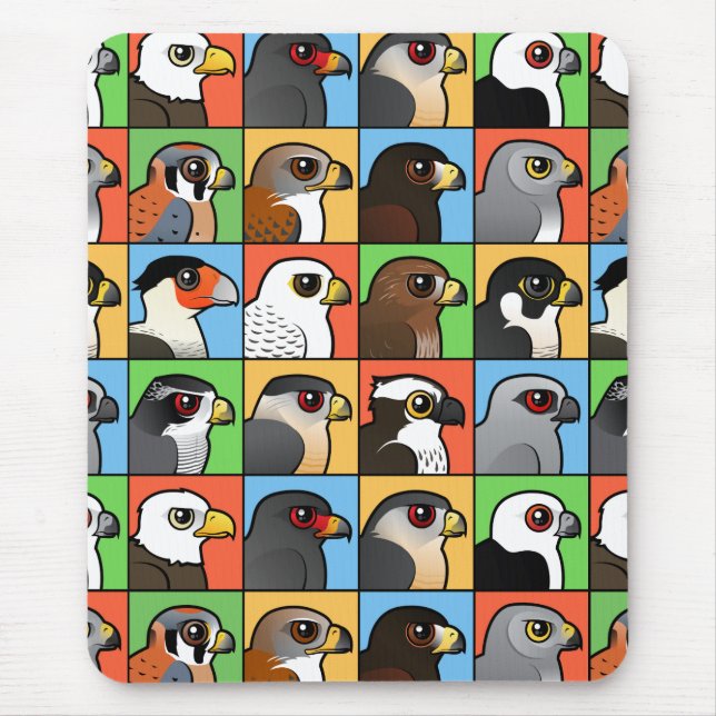 16 norr - amerikanrovfågeln profilerar (belagt med musmatta (Framsidan)